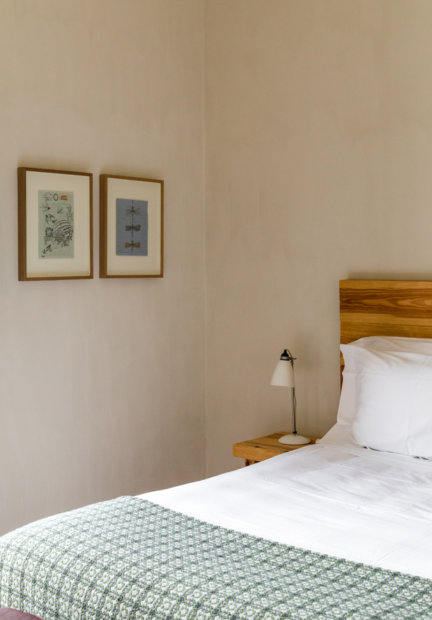 suite detail