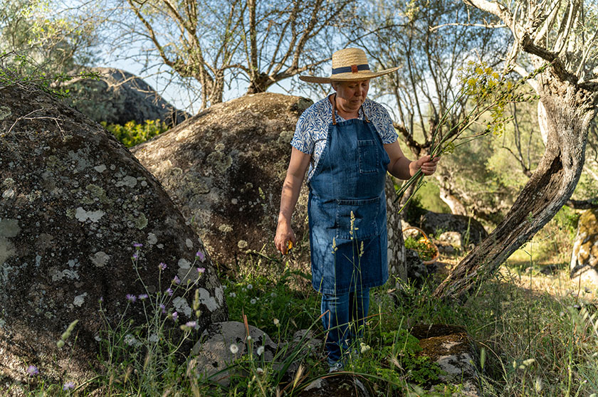 foraging
