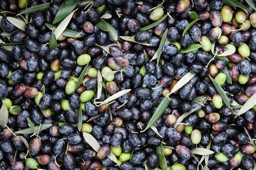 Olives
