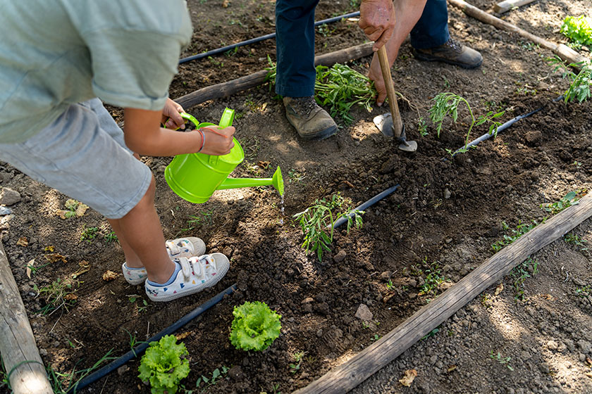 childrens vegetable garden