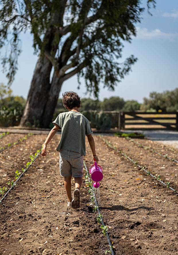 childrens vegetable garden