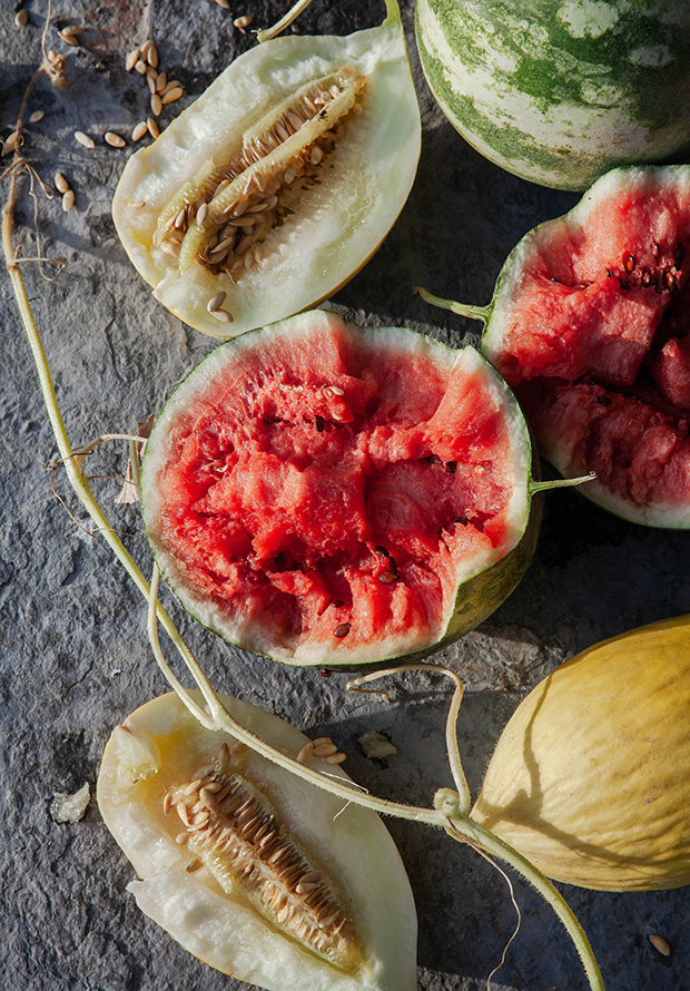 watermelons