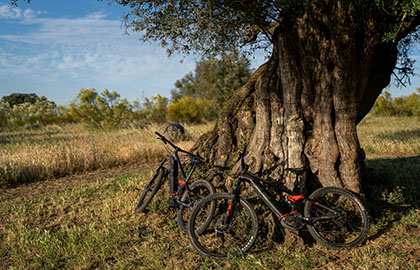 Mountain biking