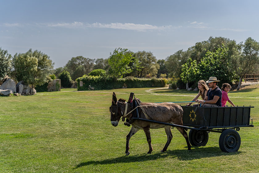 horse riding kids
