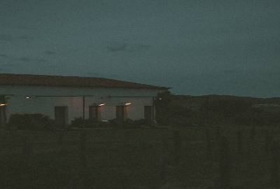Nocturnal walk