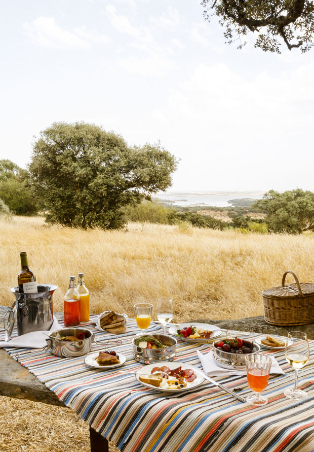picnic ash