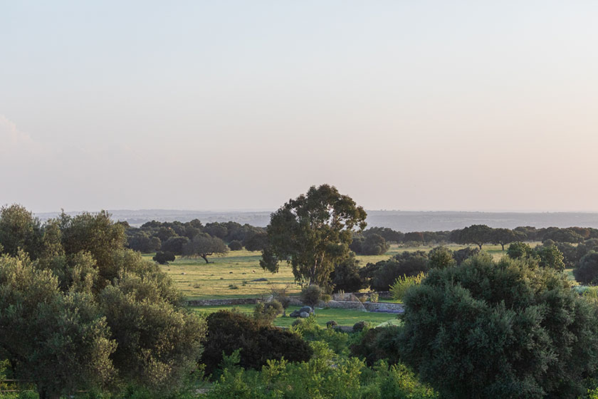 barrocal nature
