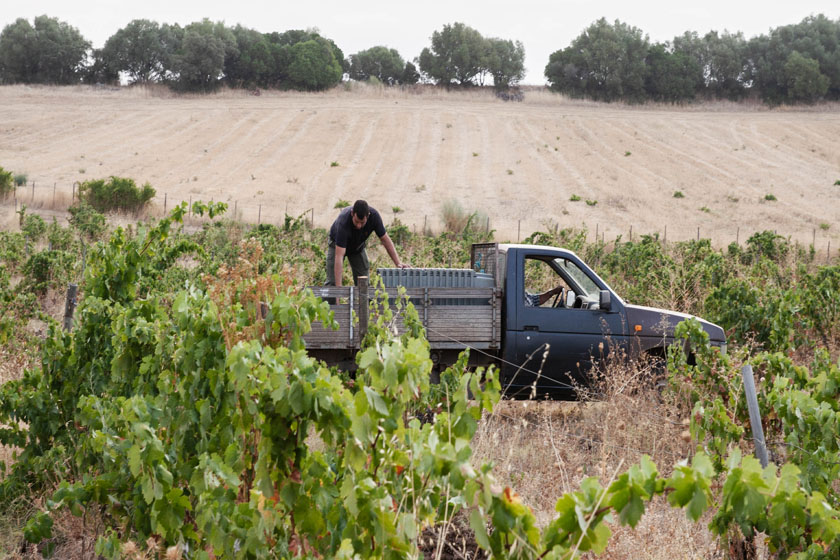 harvest truck
