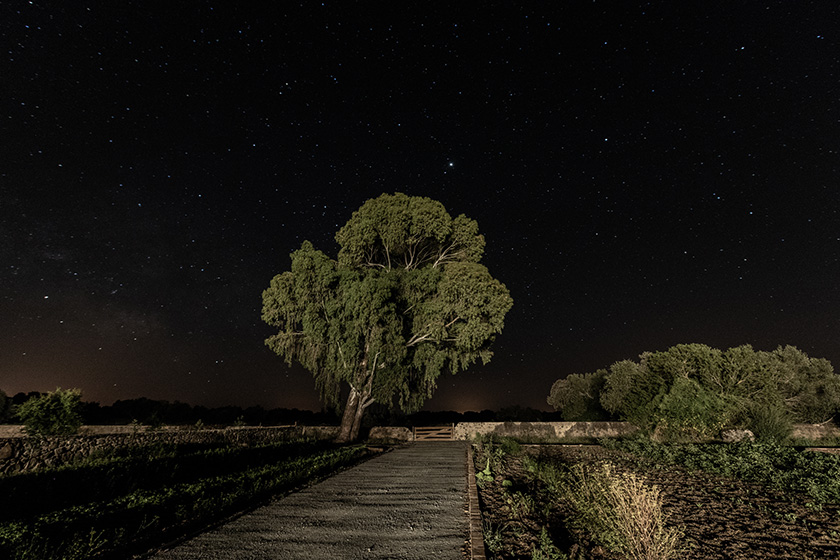 by night