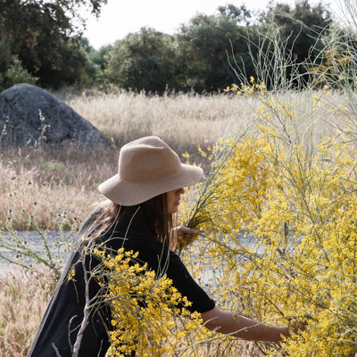 in the fields