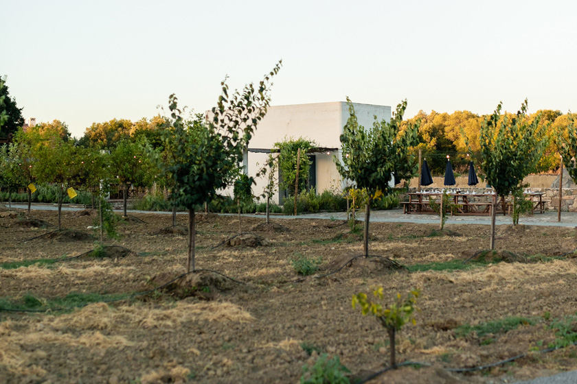 orchard
