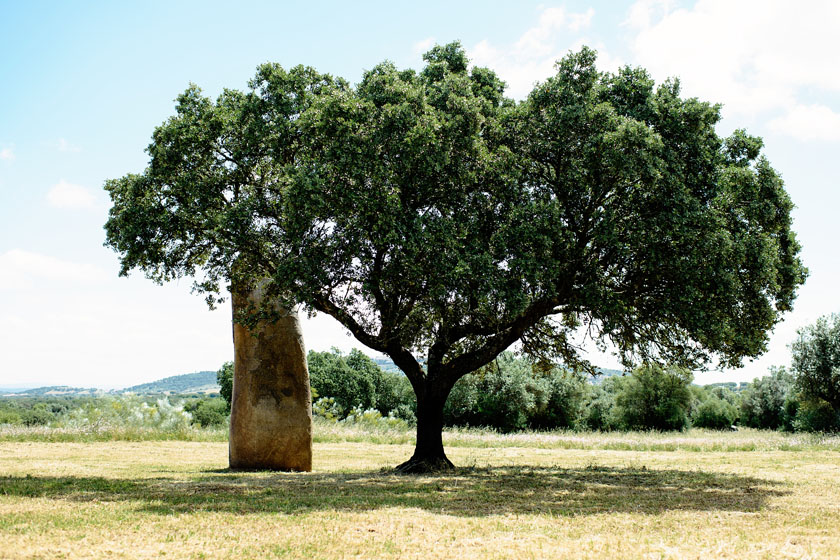 menhir