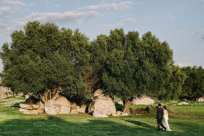 wedding in meadow